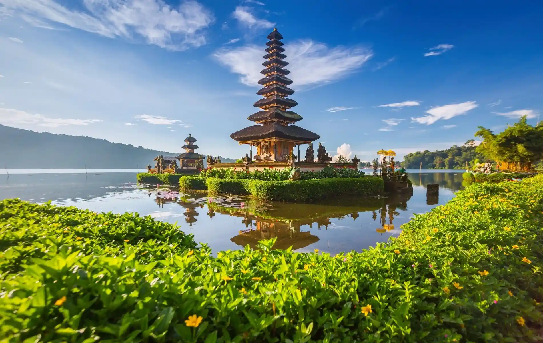 Tours & Pricing