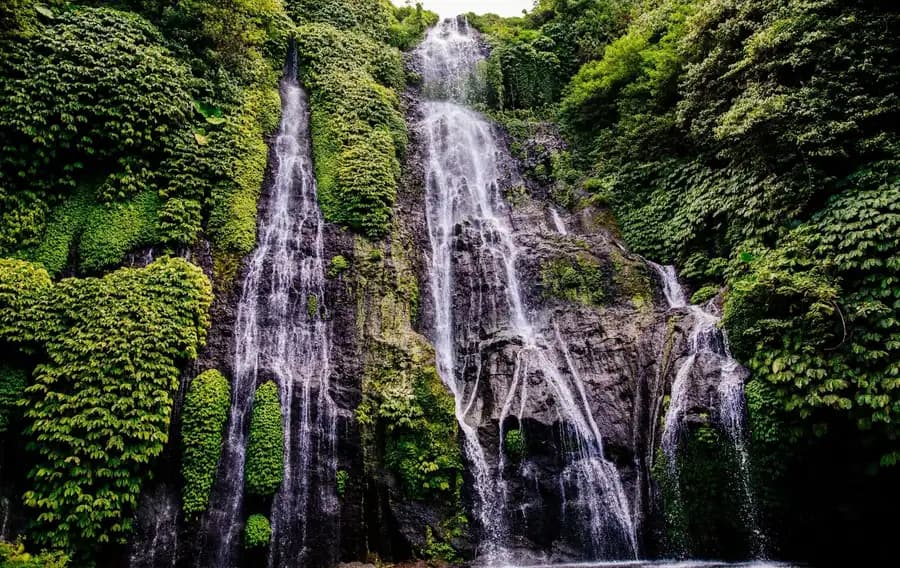 Dolphin Tour, Snorkeling & Aling-Aling Waterfall